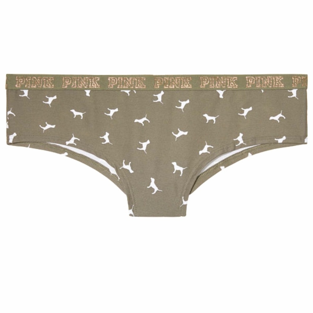 VS PINK hipster panties